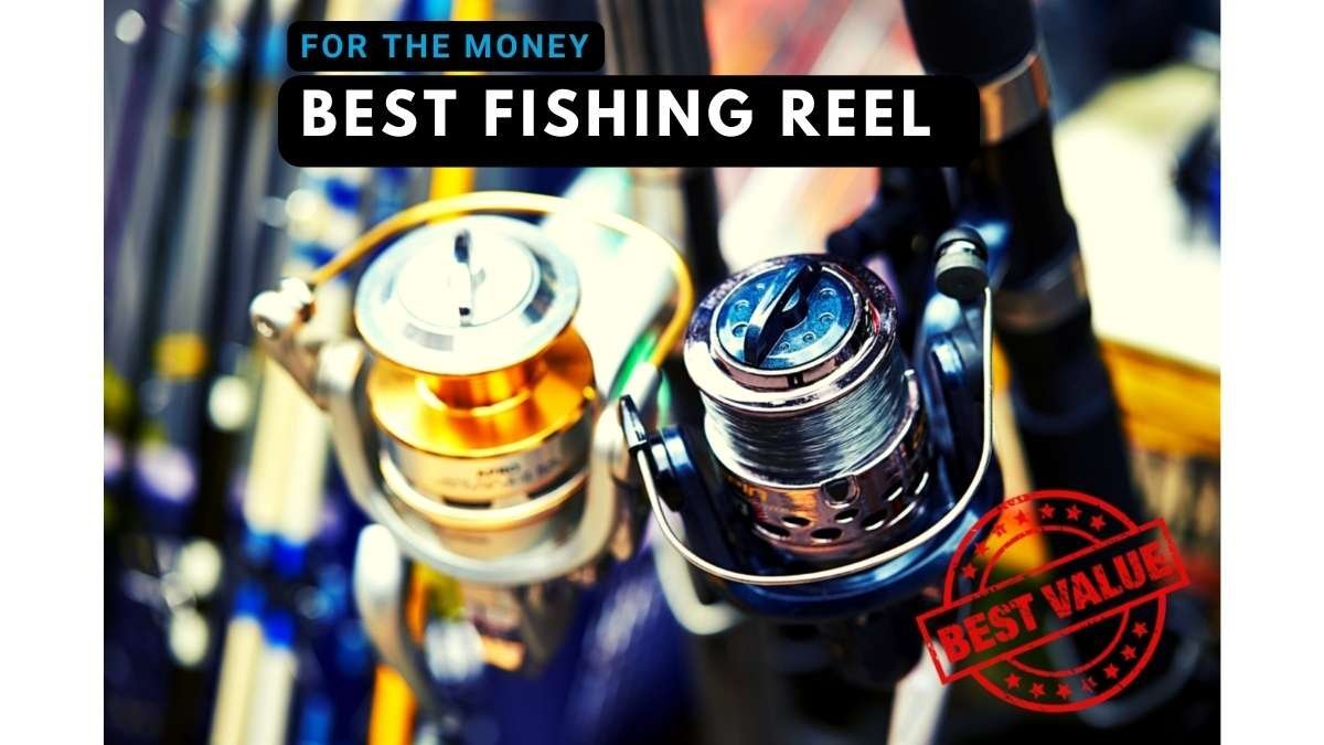 Best Fishing Reel For The Money: Fishing 13 Kalon Blackout