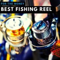 Best Fishing Reel 2021